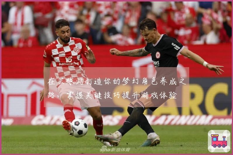 在买球站打造你的梦幻角色养成之路,掌握关键技巧提升游戏体验